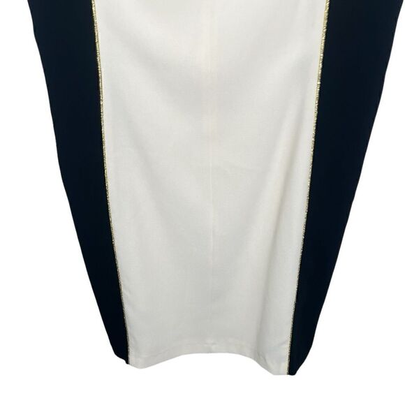 Rag & Bone Ivory/Black Colorblock Metallic Trim Dupont Sheath Dress Size 8 - Picture 6 of 12